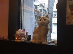-星林居酸辣米线餐厅
