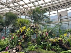 -石家庄市植物园
