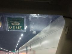 -胶州湾海底隧道