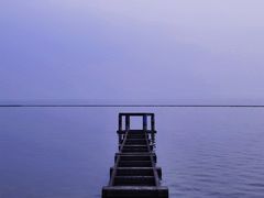 -贡湖湾湿地公园
