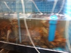 -蛙太牛牛肉海鲜自助火锅(台江万达店)