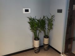 -梵猫·新养生(湛江鼎盛店)