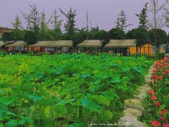 -洪湖家庭农场·团建·露营·会议