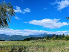 -野鸭湖国家湿地公园
