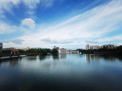 -OLD TREE老树咖啡·西餐厅(台山人工湖店)