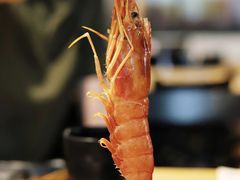 大草虾-贺野·自助炭火烤肉(紫藤路店)