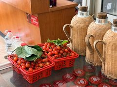 -品雅轩农家乐