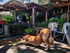 -城墙外BAR