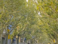 -溧阳路经典老洋房