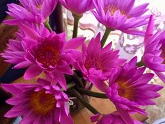 -森野花艺培训·企业团建活动沙龙