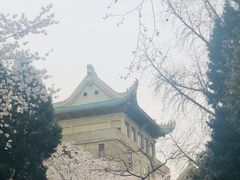 -武汉大学-樱园