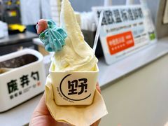 -野人先生现做冰淇淋(北京悠唐购物中心店)