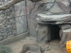 -青藏高原野生动物园