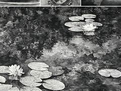 -上海宝龙美术馆