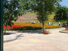 android_upload_pic-沈阳植物园