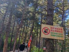 -帽儿山国家森林公园