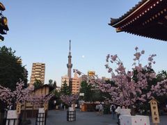 -浅草寺