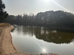 -象山森林公园