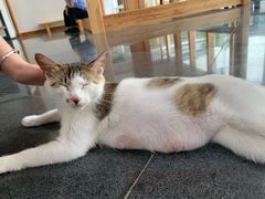 -东方艺术博物馆