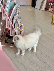 -Beauty Nails 美甲美睫皮肤管理