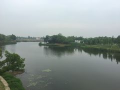 -尚贤河湿地