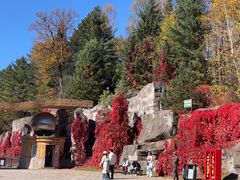 -五营红松林海景区