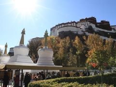 -宗角禄康公园