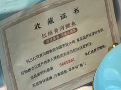 -阿五黄河大鲤鱼(英协路店)