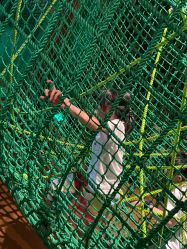 -奇幻丛林(佛罗伦萨小镇店)