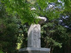 android_upload_pic-汇龙潭