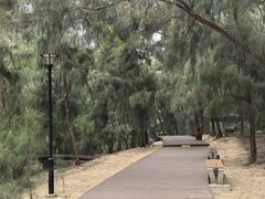 -大京沙滩