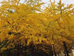 -辽宁大学(崇山校区)