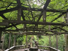 -成都杜甫草堂博物馆