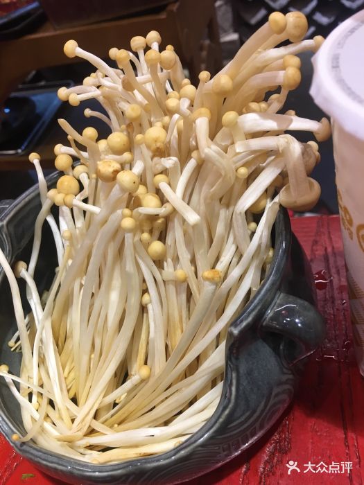老火锅(太古里直营店)-金针菇-菜-金针菇图片-成都美食-大众点评网