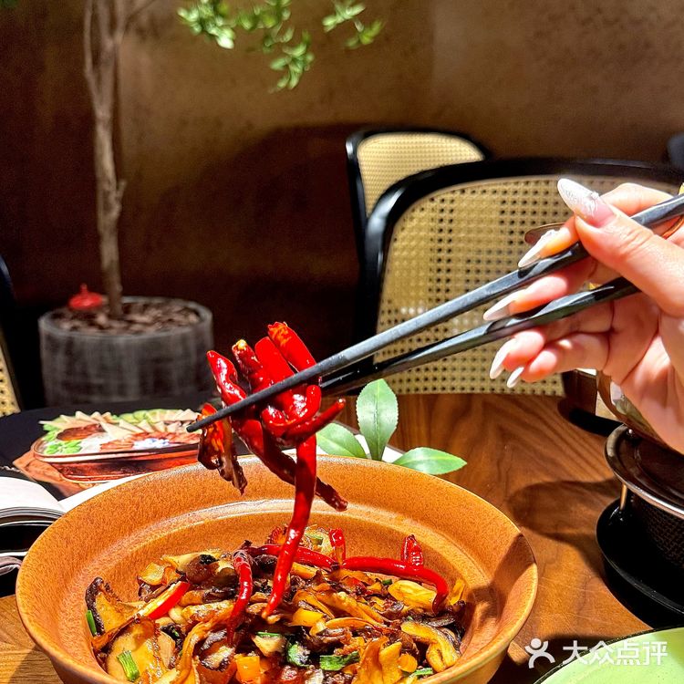 不用去云南，在上海尝尽山野菌子的云南料理！