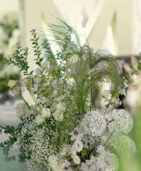 -明典婚礼策划·婚车租赁·婚纱摄影