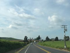 -怀托摩萤火虫洞