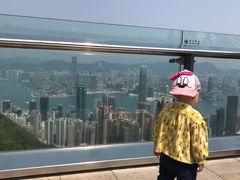 -Big Bus Tours 敞篷观光巴士