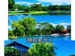 -上海佘山世茂艾美酒店