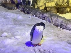 -成都浩海立方海洋公园