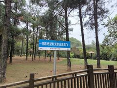 -鄱阳湖国家湿地公园