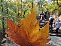 -天津盘山风景名胜区