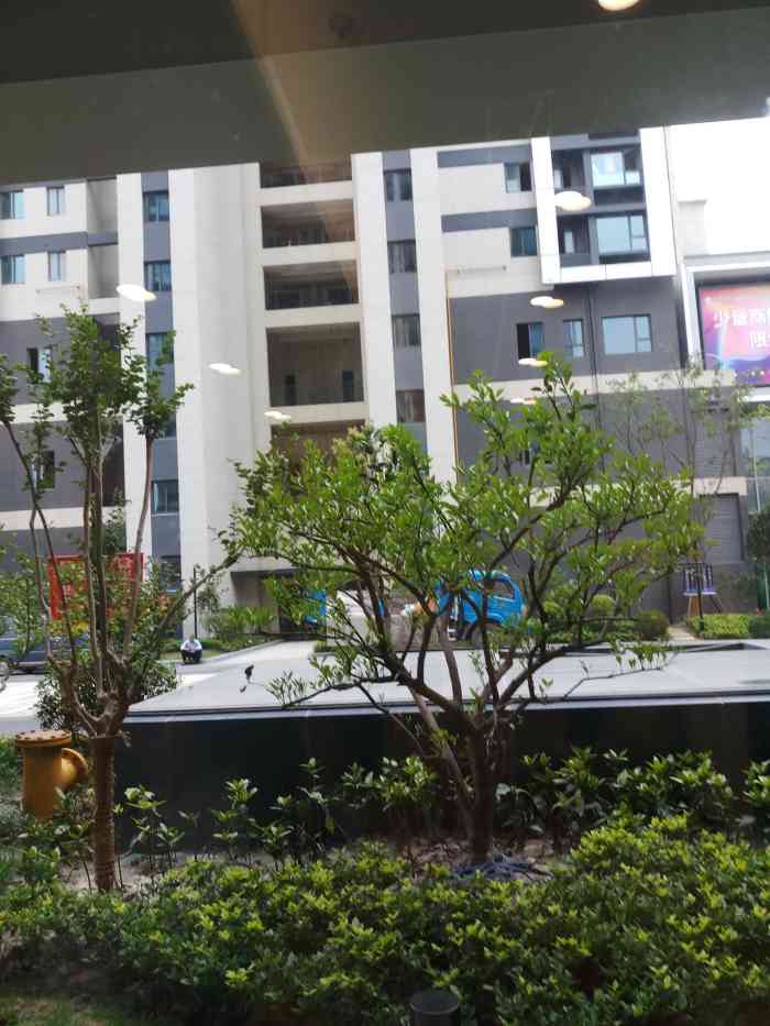 打分 亲戚买的青浦东渡悦来城的房子交房了,看了真不错,小区房型很好