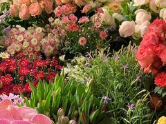 -亭亭鲜花店(中山北路店)