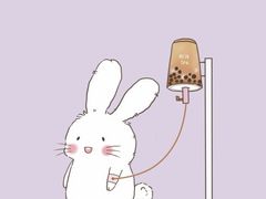 -白玉兰苏州观前街平江路酒店