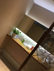 -银座Calla