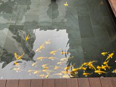 -觀芷隐轩