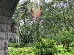 -平安（深圳）金融教育培训中心