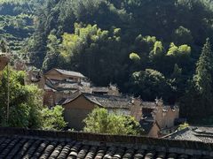 -杨家堂村