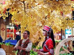 -老滇山寨•云南特色菜•地方菜•民族风情歌舞表演(金碧店)